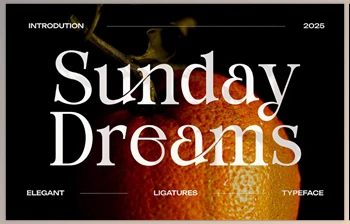 Download Sunday <span class='badge badge-warning'>Dreams</span> Serif Font (Creative Market 291593770)