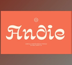 Download CS Andie – Trippy Font (Creative Market 291684033)