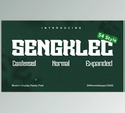 Download Sengklec - Display Family Font (Creative Market 291689947)