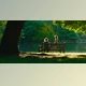 Procolorist - Download Contour v2.1.6 for DaVinci (Mac)