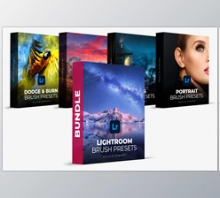 Kelvin Pimont - Download Lightroom Brush Presets