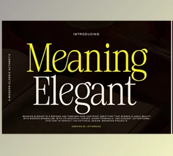 Download Meaning Elegant - Classic Serif Font (Creative Market 291689610)
