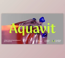 MyFonts - Download Aquavit Font Family 9xOTF