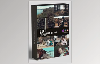 Colorwheelstore - Download Lut Destaturation Style <span class='badge badge-warning'>Pack</span>