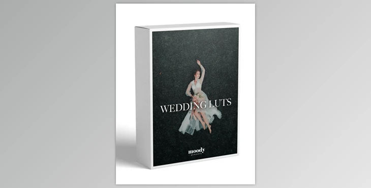 Moodypresets - Download Wedding Luts
