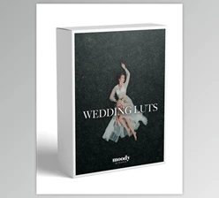 Moodypresets - Download Wedding Luts