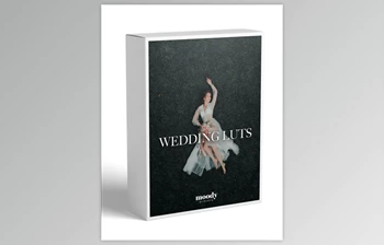 Moodypresets - Download Wedding <span class='badge badge-warning'>Luts</span>