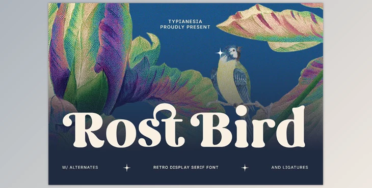 Download Rost Bird - Soft Retro Display Serif Font (Creative Market 291715371)