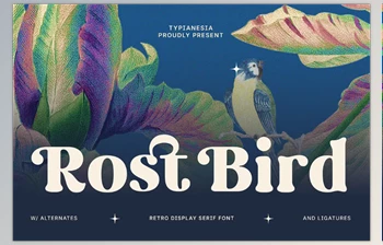 Download Rost Bird - Soft Retro Display Serif <span class='badge badge-warning'>Font</span> (Creative Market 291715371)