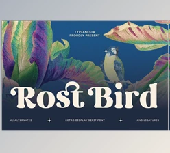 Download Rost Bird - Soft Retro Display Serif Font (Creative Market 291715371)