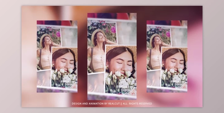 Download Vertical Romantic Spring (Videohive 60094794) - AE Project
