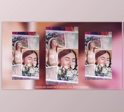 Download Vertical Romantic Spring (Videohive 60094794) - AE Project