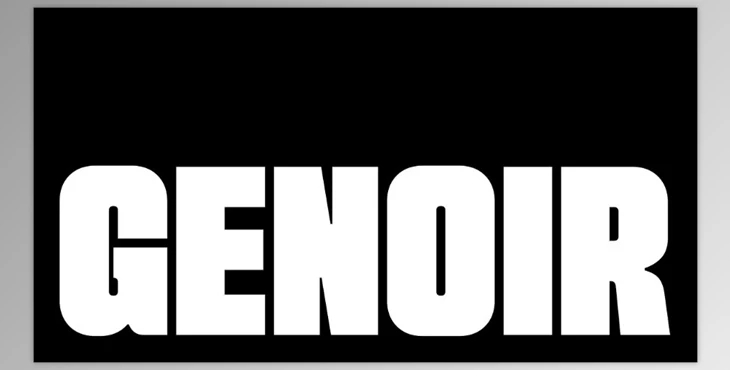 Download Genoir Bold Display Font Family (Creative Market 291869583)