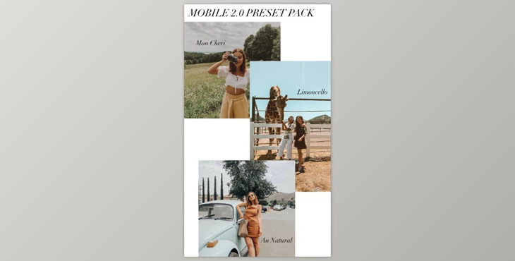 Gumroad - Download Emily Vartanian - Mobile 2.0 Presets Pack