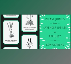 Adobe Fonts - Download Skolar Sans - An Extensive Typeface for Responsive Design 72xOTF
