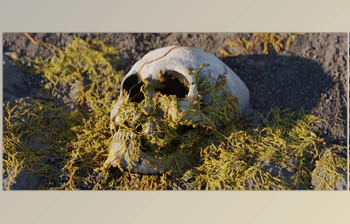 Gumroad - Download Procedural Fungus Growth (<span class='badge badge-warning'>Blender</span> 3.5 Tool)
