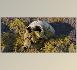 Gumroad - Download Procedural Fungus Growth (Blender 3.5 Tool)