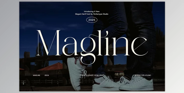 Download Margline Stylish Serif Font (Creative Market 291470236)