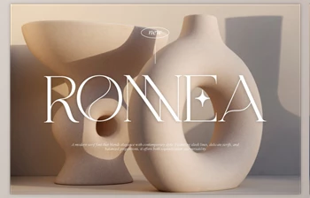 Fontbundles - Download <span class='badge badge-warning'>Ronnea</span> || Modern Minimalist Serif Font