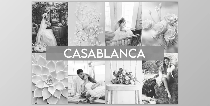 Greater Than Gatsby - Download Casablanca