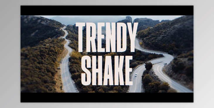 Download Trendy Shake Transitions (Videohive 60063224) - AE Project