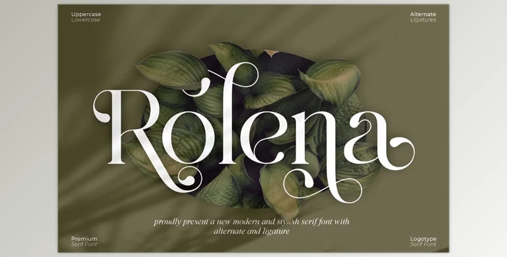 Download Rolena Modern Serif Font (Creative Market 291783009)
