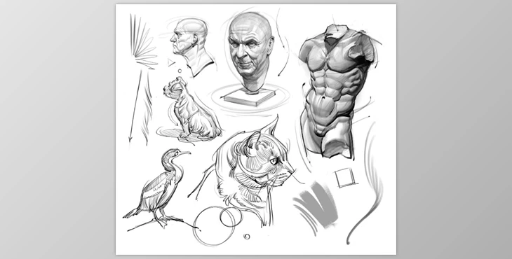 Gumroad - Download Brush Pack for Sketching and Painting!