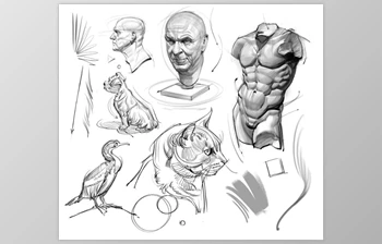 Gumroad - Download Brush <span class='badge badge-warning'>Pack</span> for Sketching and Painting!