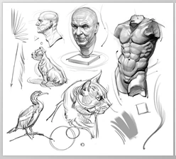 Gumroad - Download Brush Pack for Sketching and Painting!