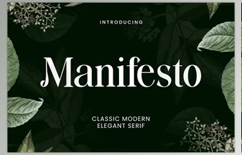 Download Manifesto Classic Modern Serif Font (Creative <span class='badge badge-warning'>Market</span> 291882177)