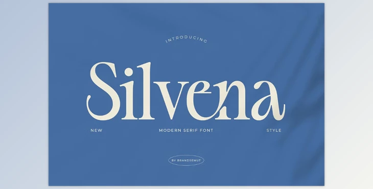 Download Silvena – Modern Elegant Serif Font (Creative Market 291785928)