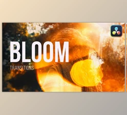 Download Bloom Transitions for DaVinci Resolve (Videohive 60535625)