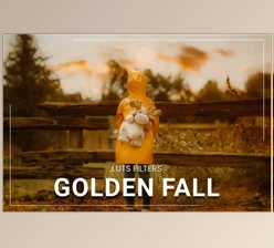 3motional – Download 30 Golden Fall LUT Collection