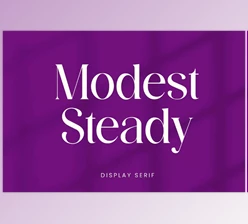 Download Modest Steady Display Serif Font (Creative Market 291884374)