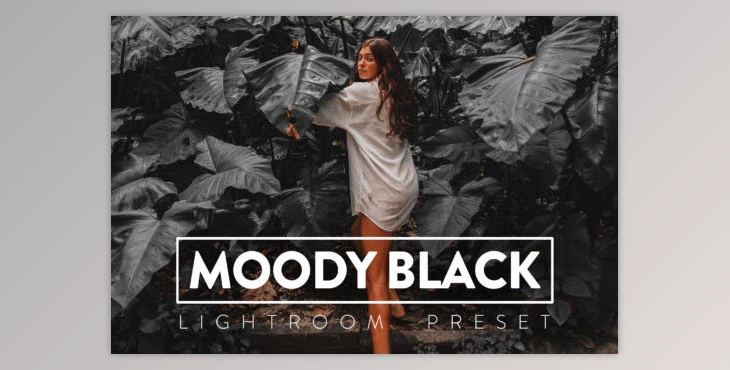 FilterGrade - Download 10 Moody Black Lightroom Preset