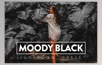 FilterGrade - Download 10 Moody Black <span class='badge badge-warning'>Lightroom</span> Preset