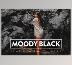 FilterGrade - Download 10 Moody Black Lightroom Preset