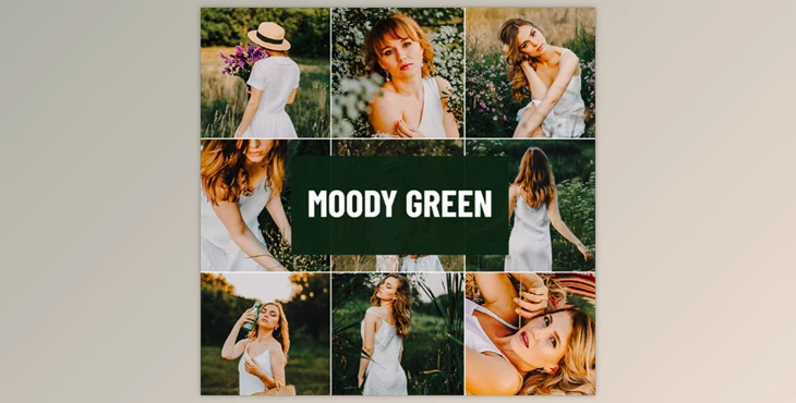 Psd Stack - Download Moody Green Lightroom Preset