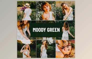 Psd Stack - Download Moody Green <span class='badge badge-warning'>Lightroom</span> Preset
