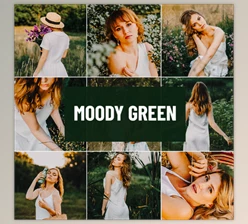 Psd Stack - Download Moody Green Lightroom Preset