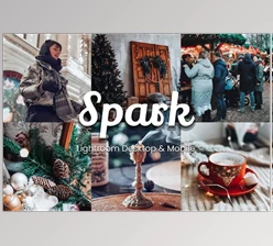 3dMotional - Download 30 Spark Lightroom Bundle