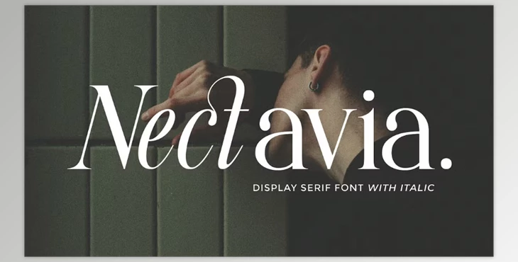 Download Nectavia - Display Serif Font (Creative Market 291805488)