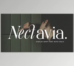 Download Nectavia - Display Serif Font (Creative Market 291805488)