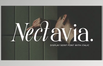 Download Nectavia - <span class='badge badge-warning'>Display</span> Serif <span class='badge badge-warning'>Font</span> (Creative Market 291805488)