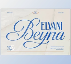Download Beyna Elvani - Elegant Sans & Script (Creative Market 291814867)