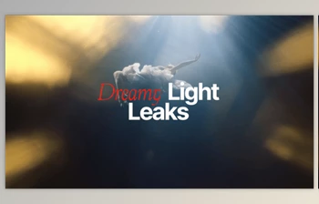 Download Dreamy <span class='badge badge-warning'>Light</span> <span class='badge badge-warning'>Leaks</span> (Videohive 60765169) - PR Project