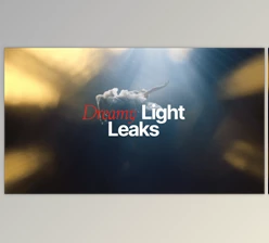 Download Dreamy Light Leaks (Videohive 60765169) - PR Project