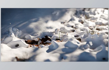 <span class='badge badge-warning'>Blender</span> - Download Snow