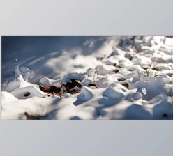 Blender - Download Snow