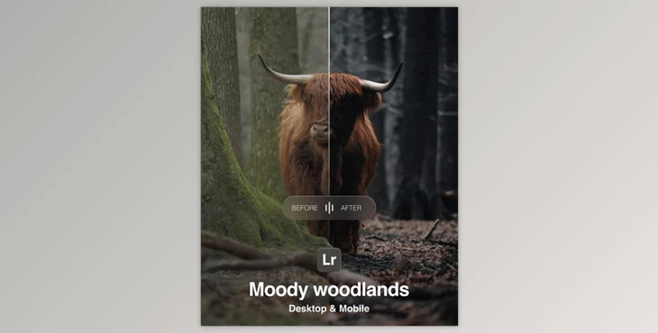 Amar Muric - Download Moody Woodlands Lightroom Presets